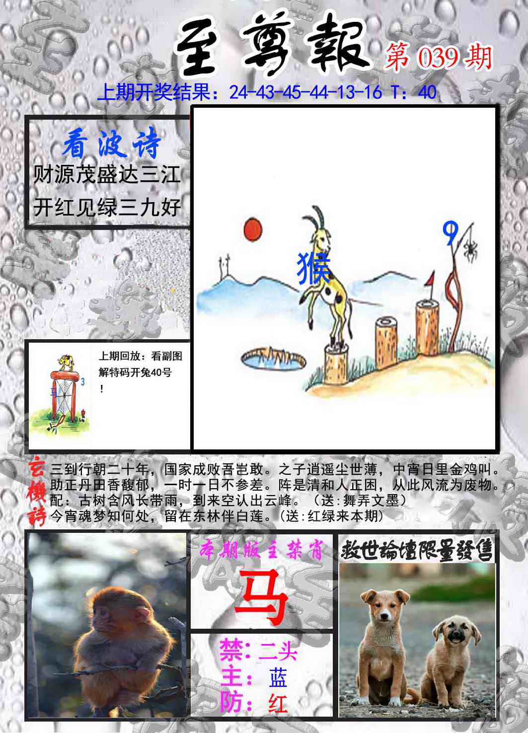 039期至尊报[图]